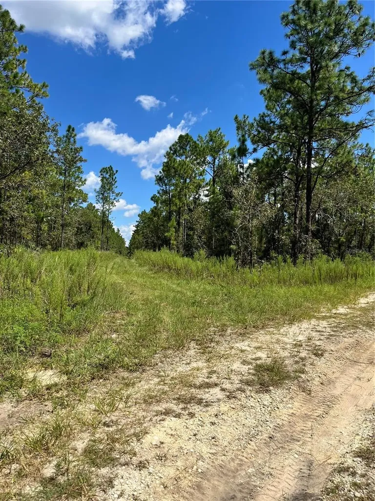 Tbd SW 156th Court Ocala FL 34481