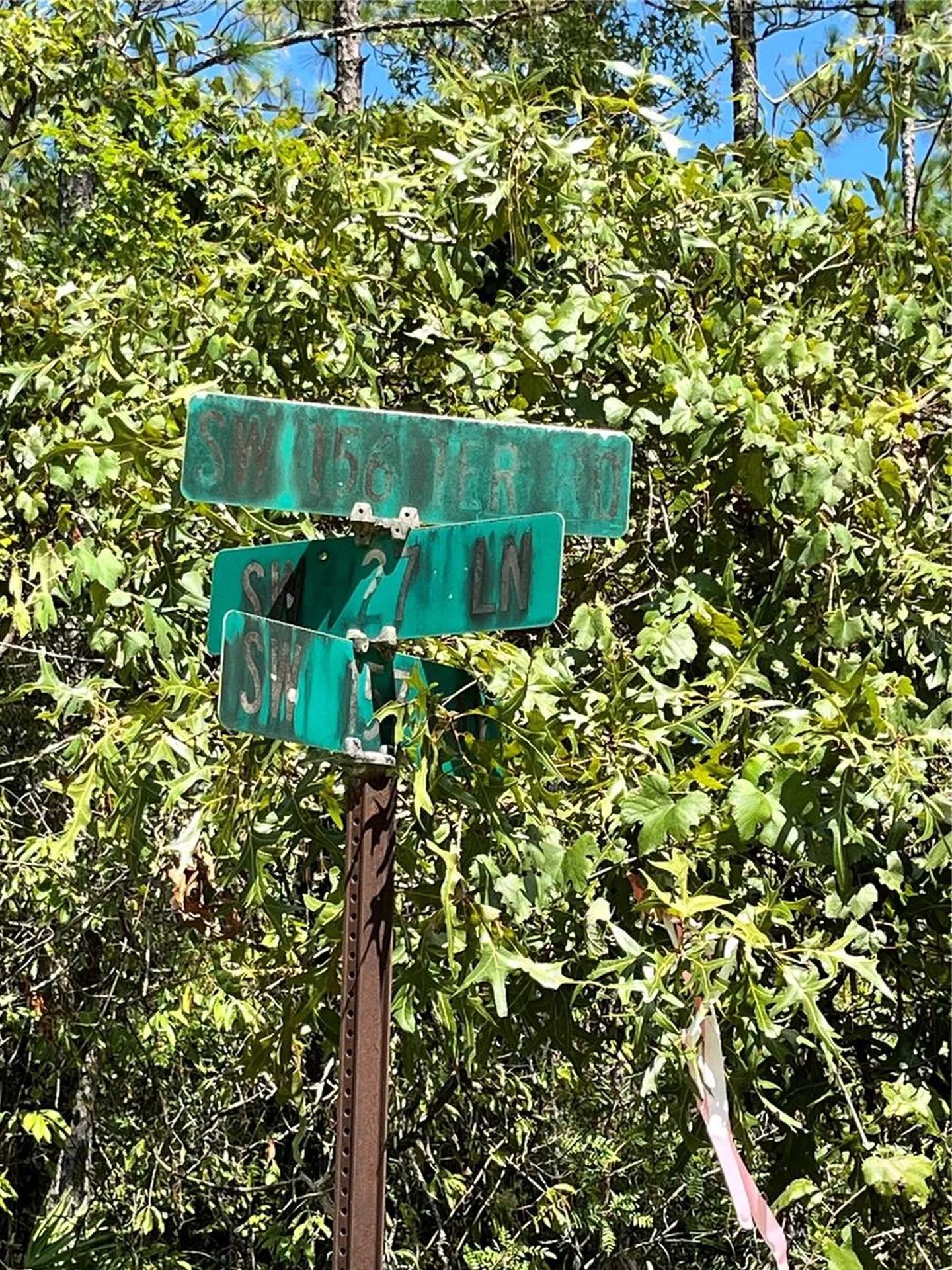 Tbd SW 156th Court Ocala FL 34481