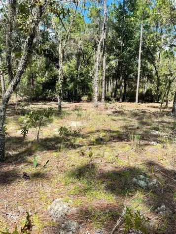 Tbd SW 156th Court Ocala FL 34481