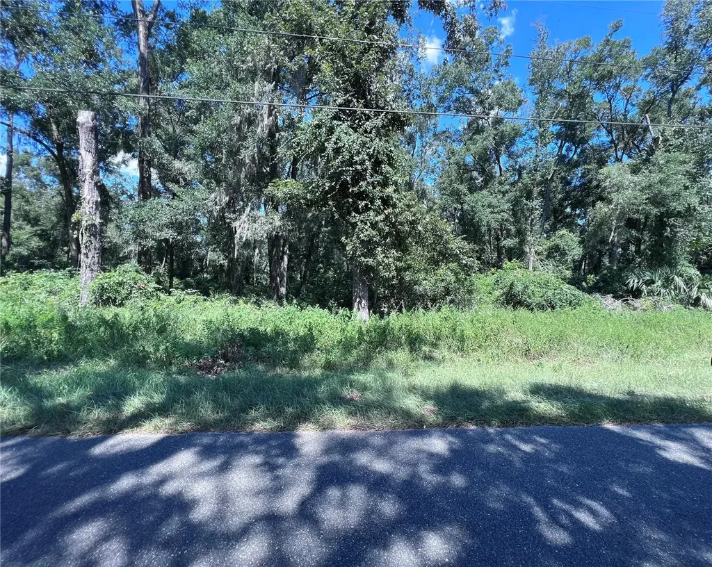 00 NW 90th Court Fanning Springs FL 32693