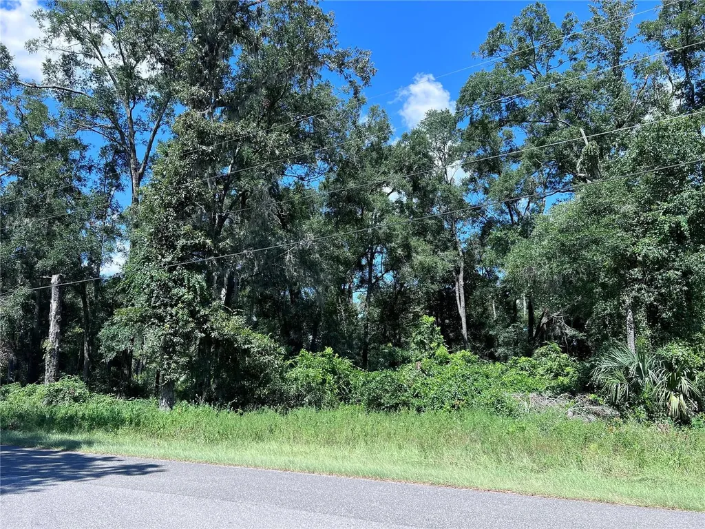 00 NW 90th Court Fanning Springs FL 32693