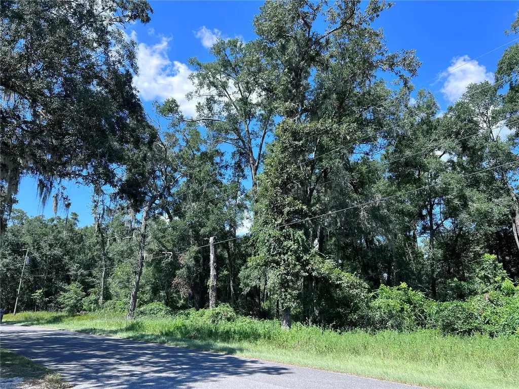 00 NW 90th Court Fanning Springs FL 32693