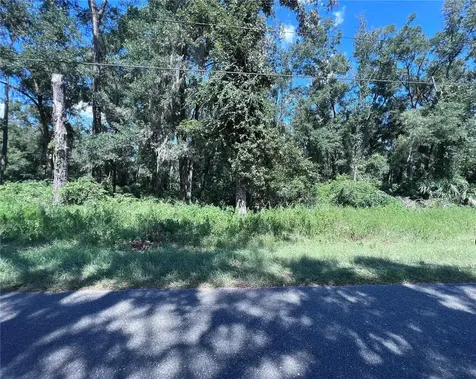 00 NW 90th Court Fanning Springs FL 32693