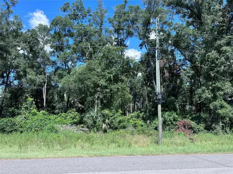 00 NW 90th Court Fanning Springs FL 32693