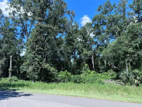 00 NW 90th Court Fanning Springs FL 32693