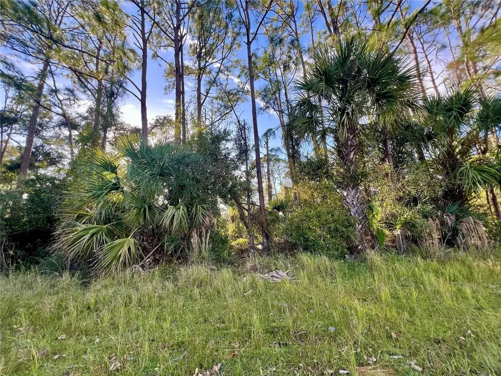 Lummus Street North Port FL 34286