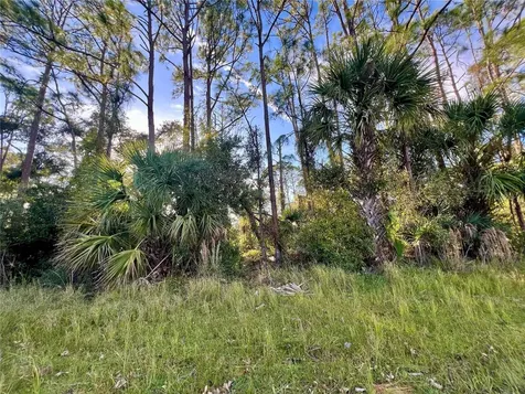 Lummus Street North Port FL 34286