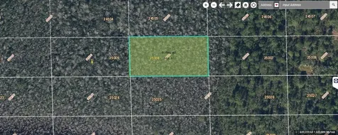 Dill Road Orlando FL 32820