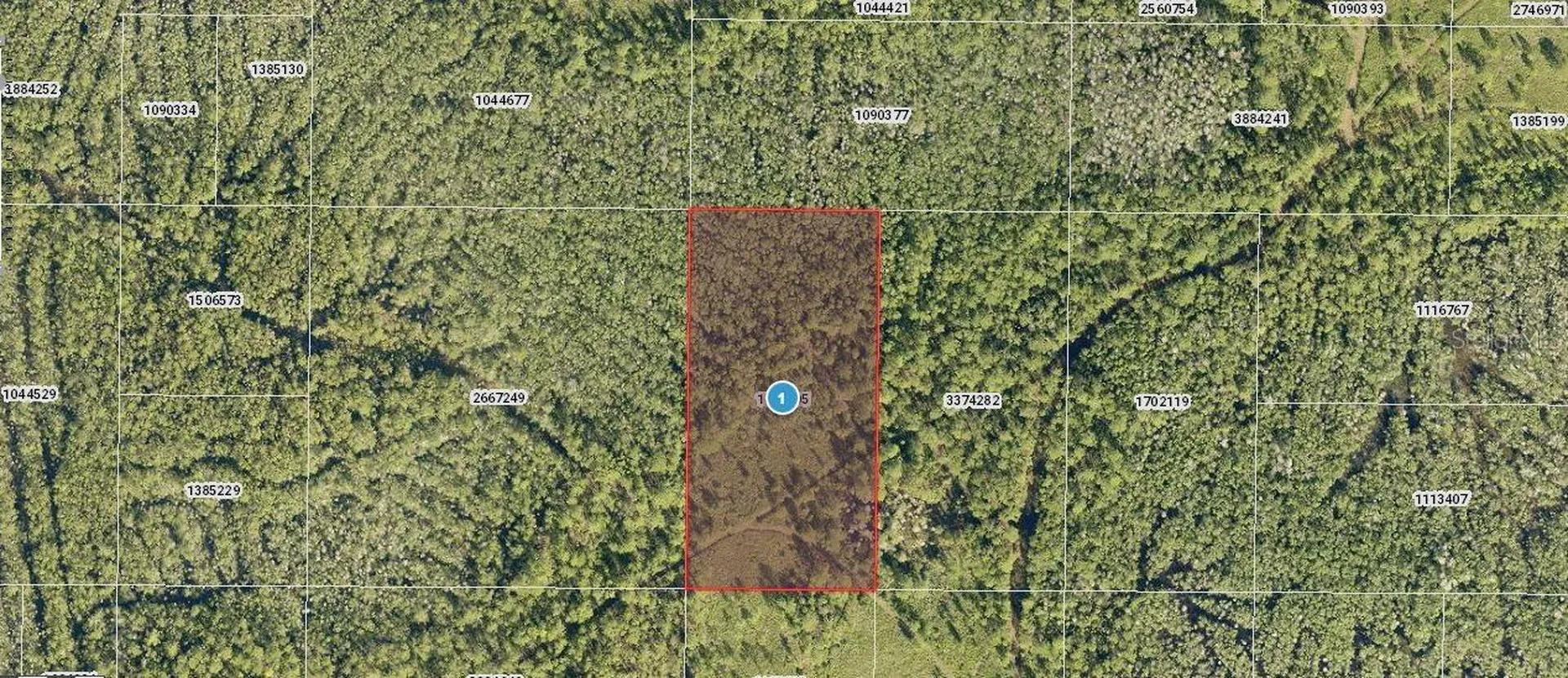Salyers Road Clermont FL 34714