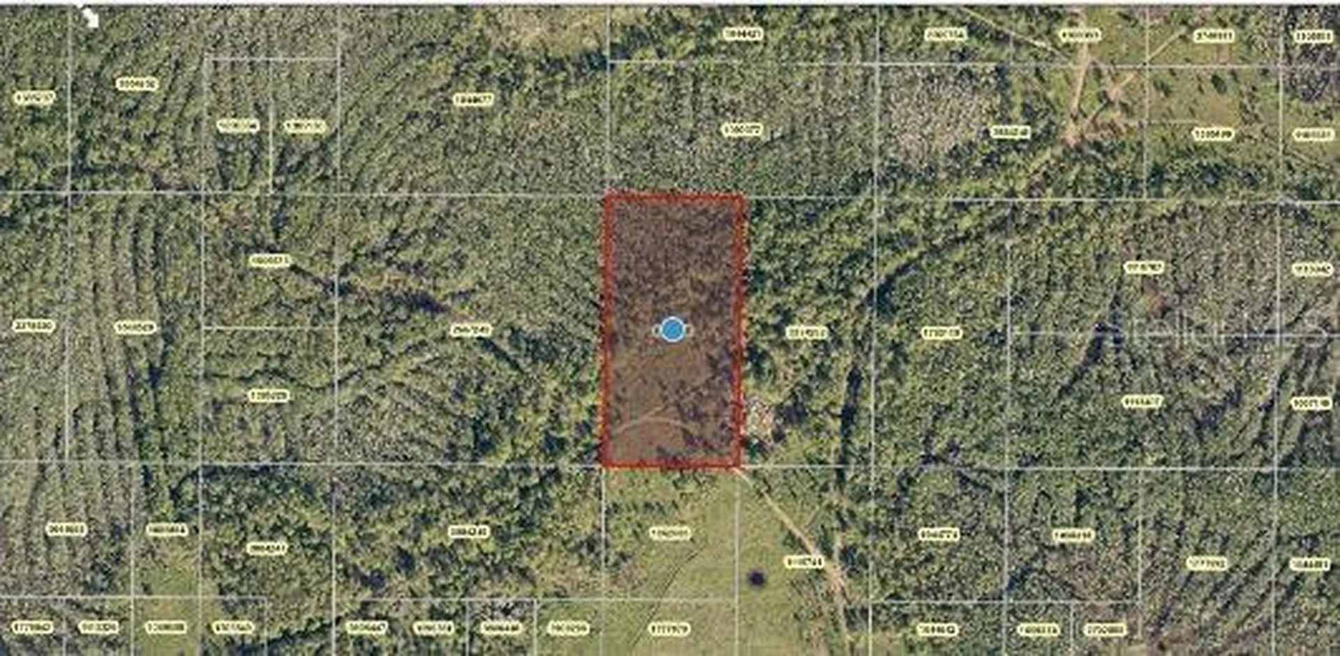 Salyers Road Clermont FL 34714