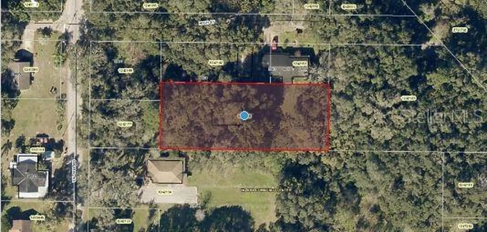 Yalaha Road Yalaha FL 34797