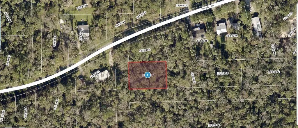 River Road Astor FL 32102