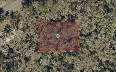River Road Astor FL 32102