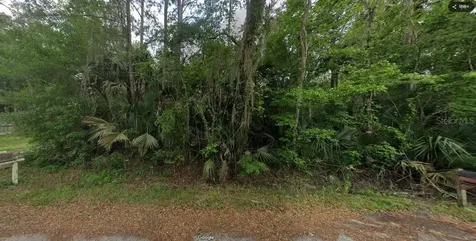 River Road Astor FL 32102