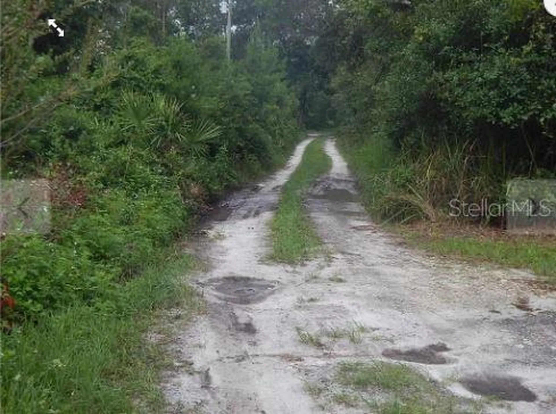 Maryland Street Paisley FL 32767