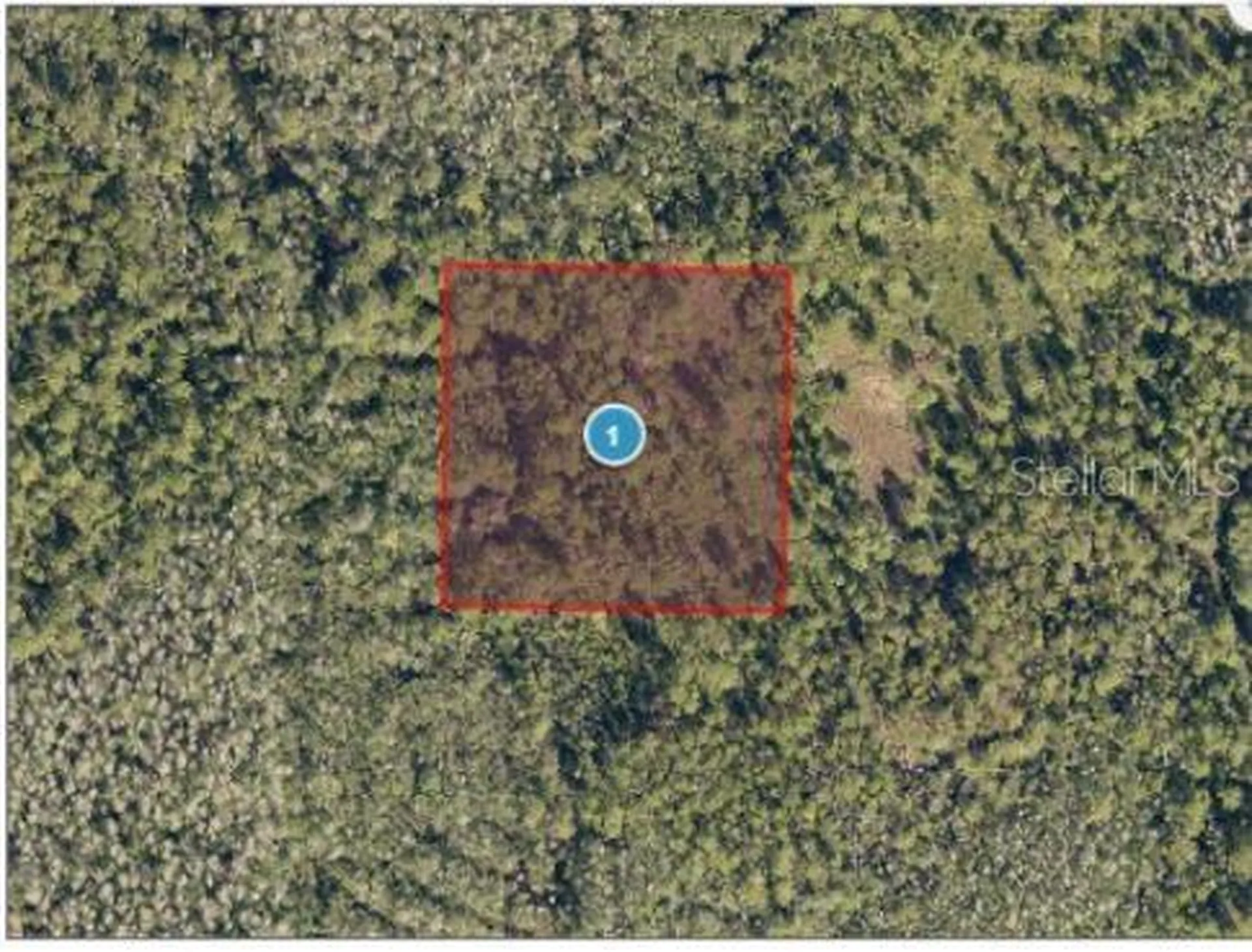 Salyers Road Clermont FL 34714