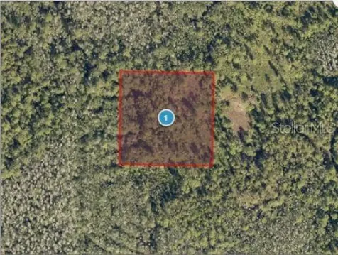 Salyers Road Clermont FL 34714