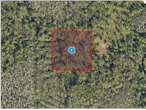 Salyers Road Clermont FL 34714