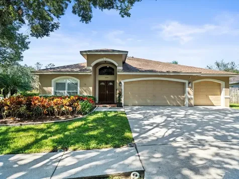 19604 Morden Blush Drive Lutz FL 33558
