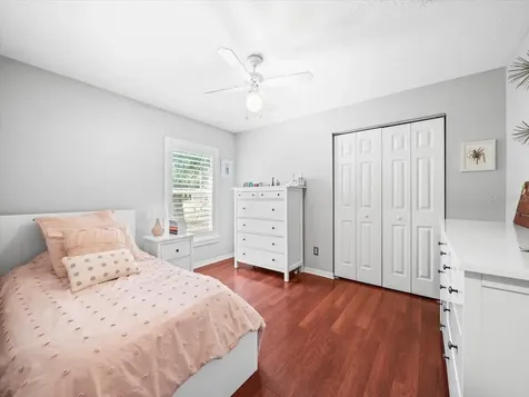 19604 Morden Blush Drive Lutz FL 33558