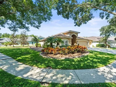 19604 Morden Blush Drive Lutz FL 33558