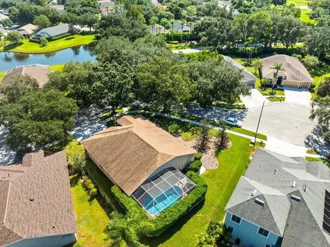 19604 Morden Blush Drive Lutz FL 33558