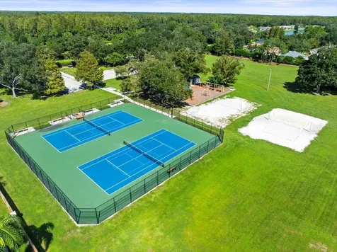19604 Morden Blush Drive Lutz FL 33558