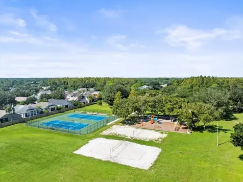19604 Morden Blush Drive Lutz FL 33558
