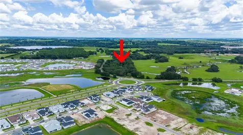 32551 Leonard Road San Antonio FL 33576