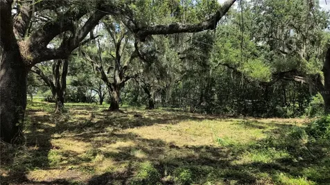 32551 Leonard Road San Antonio FL 33576