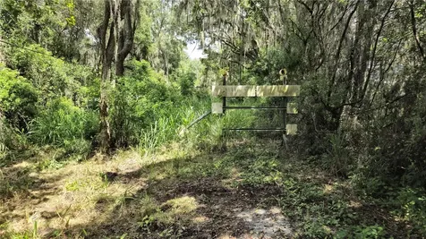 32551 Leonard Road San Antonio FL 33576