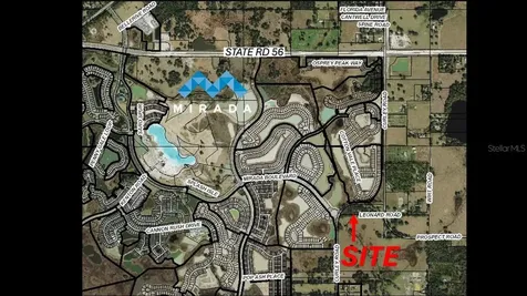 32551 Leonard Road San Antonio FL 33576