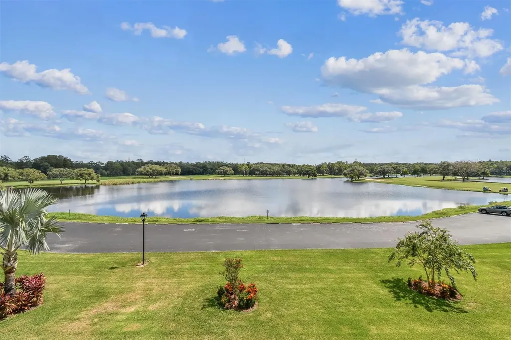36750 Us Highway 19 N Palm Harbor FL 34684