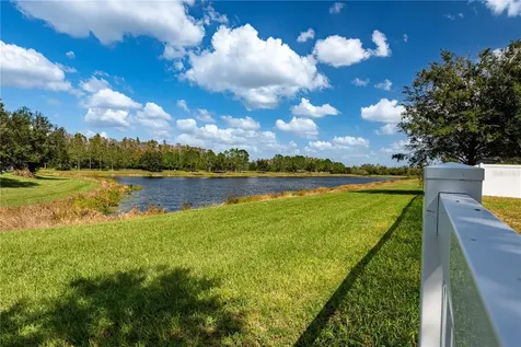 10622 Mistflower Lane Tampa FL 33647