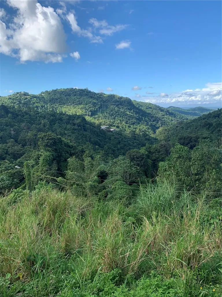 907 Carretera Canovanas PR 00729