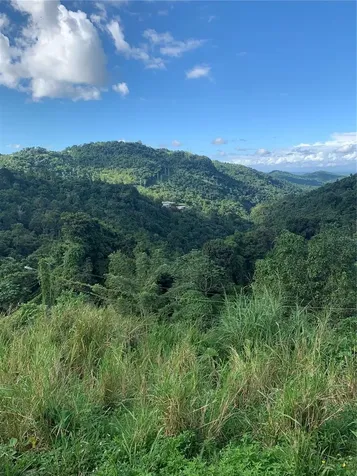 907 Carretera Canovanas PR 00729