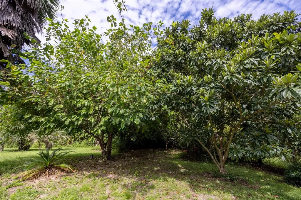 131 Riley Lake Drive Hawthorne FL 32640