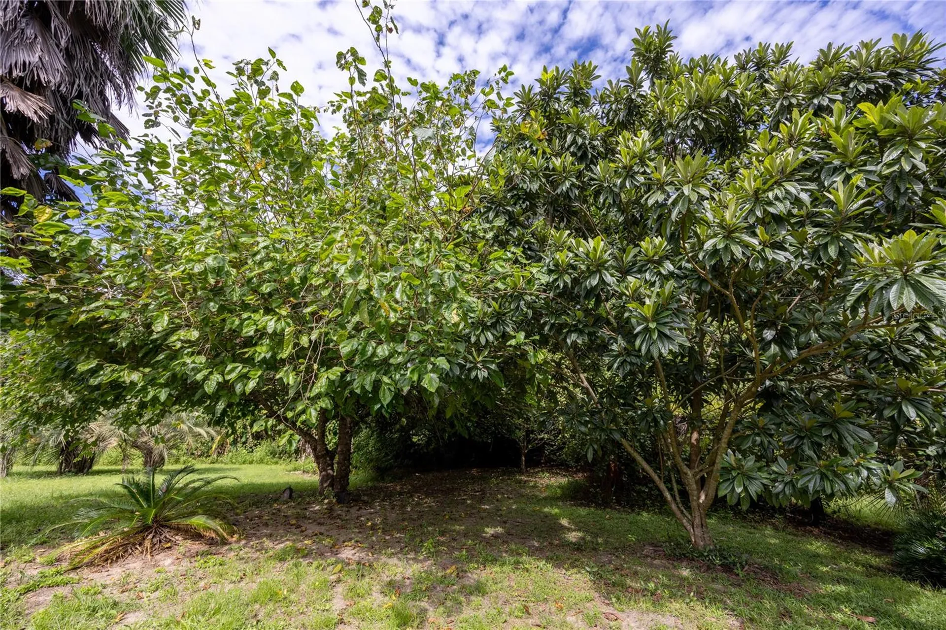 131 Riley Lake Drive Hawthorne FL 32640