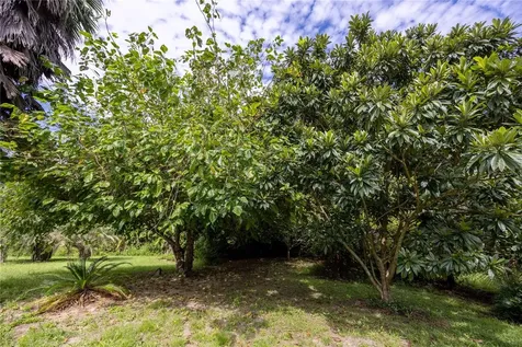 131 Riley Lake Drive Hawthorne FL 32640