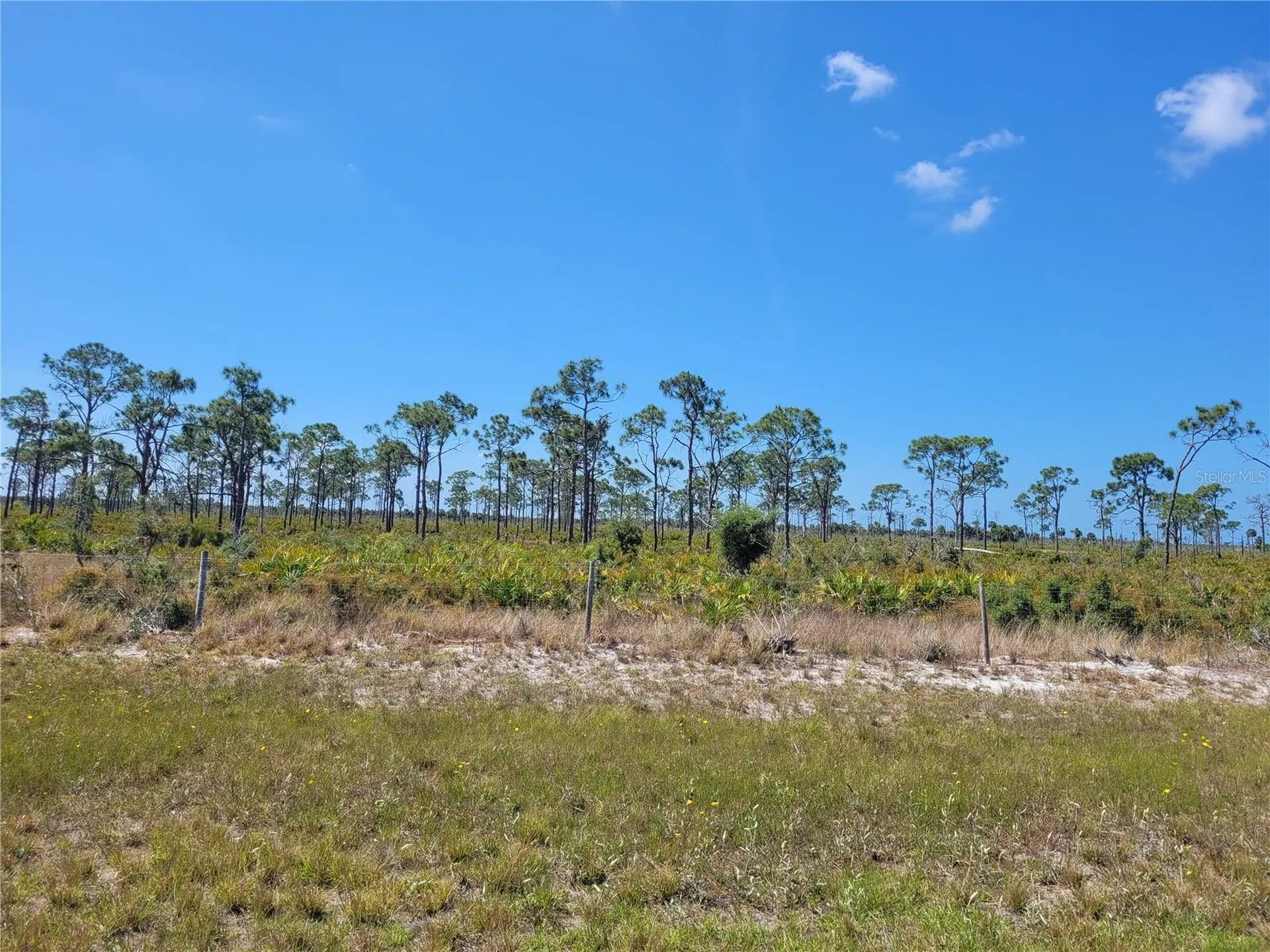 12076 Sea-robin Lane Placida FL 33946