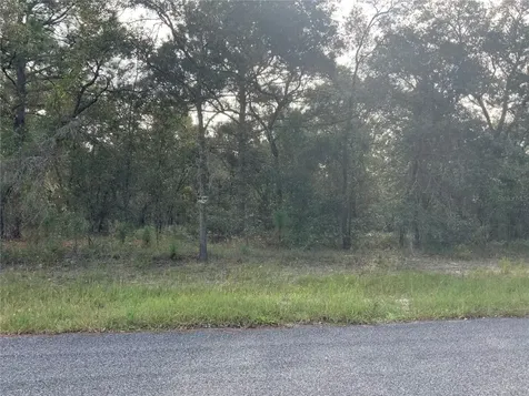 00 SE 139th Terrace Lot 11 Morriston FL 32668