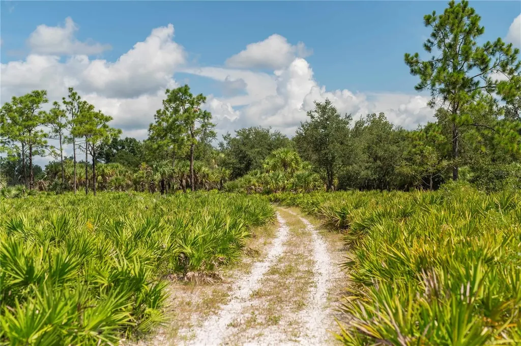 SW Addison Avenue Arcadia FL 34266