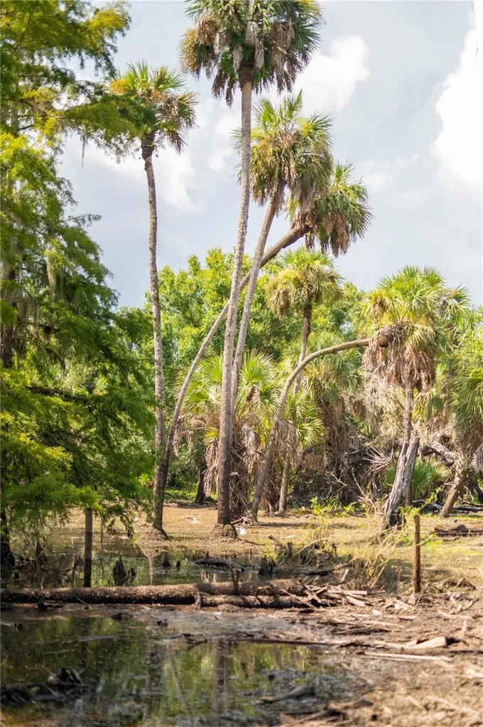 SW Addison Avenue Arcadia FL 34266