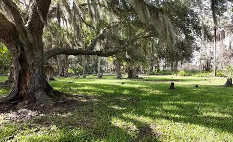 SW Addison Avenue Arcadia FL 34266