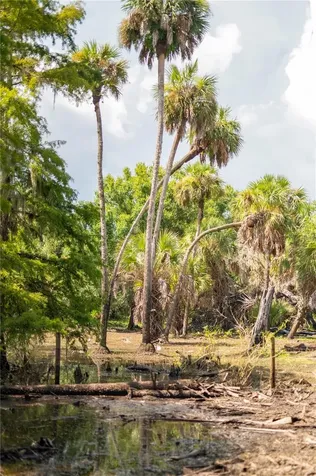 SW Addison Avenue Arcadia FL 34266