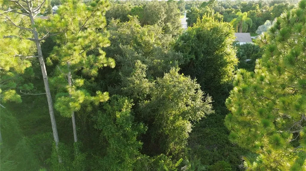 Kingsman Avenue North Port FL 34288