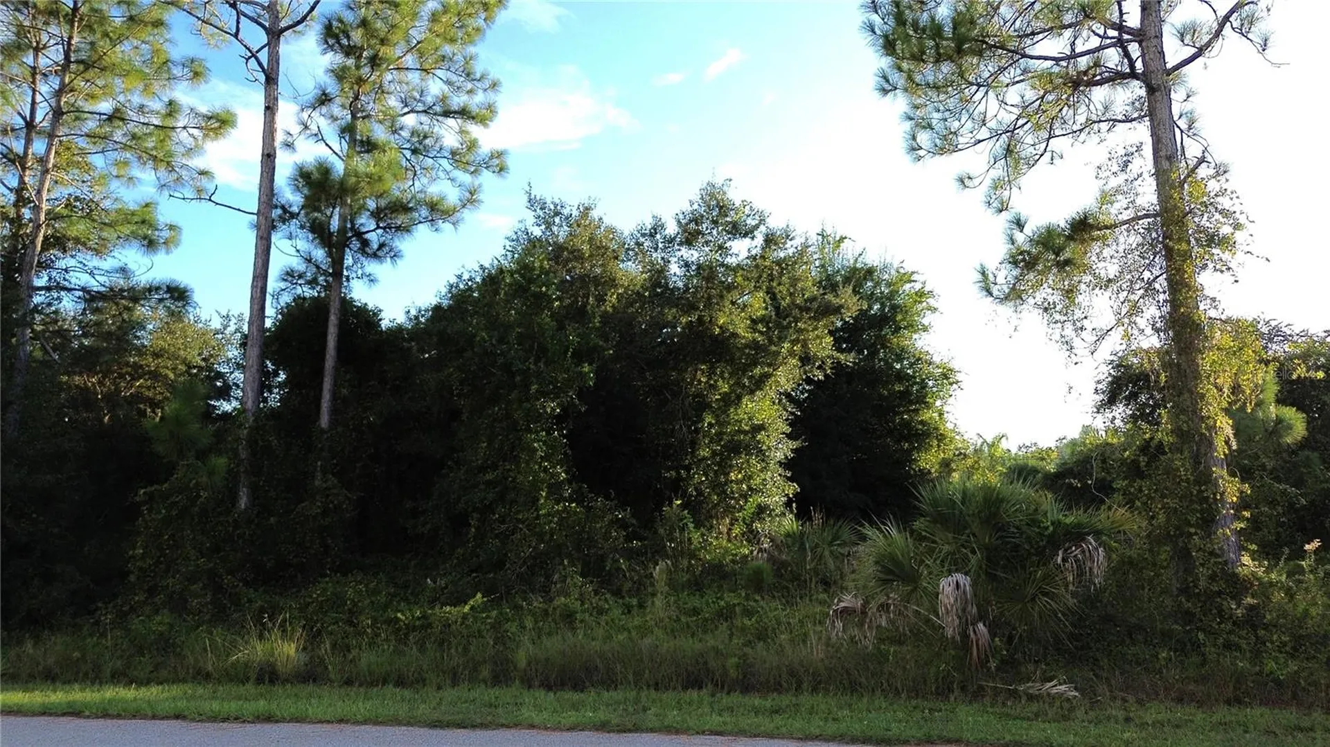 Kingsman Avenue North Port FL 34288