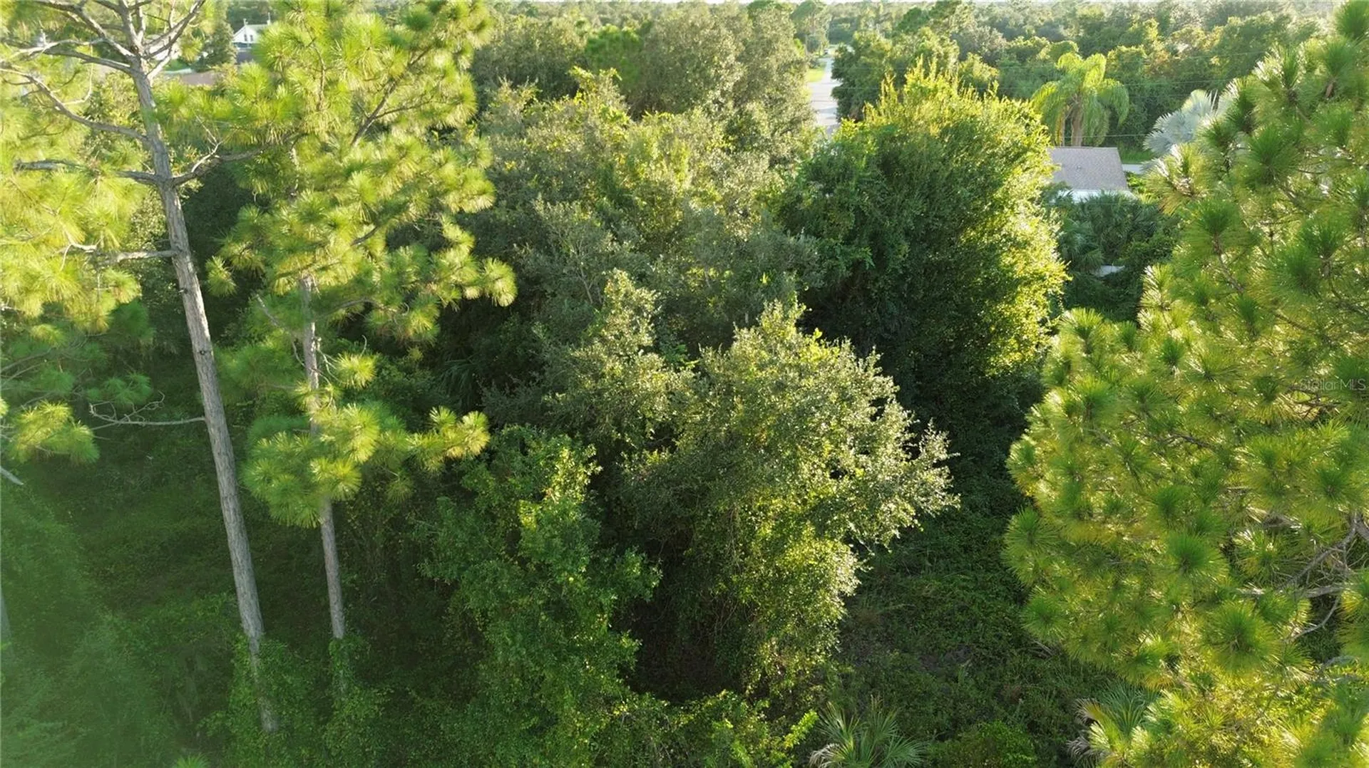 Kingsman Avenue North Port FL 34288