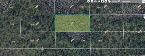 Dill Road Orlando FL 32820