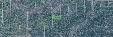 Dill Road Orlando FL 32820